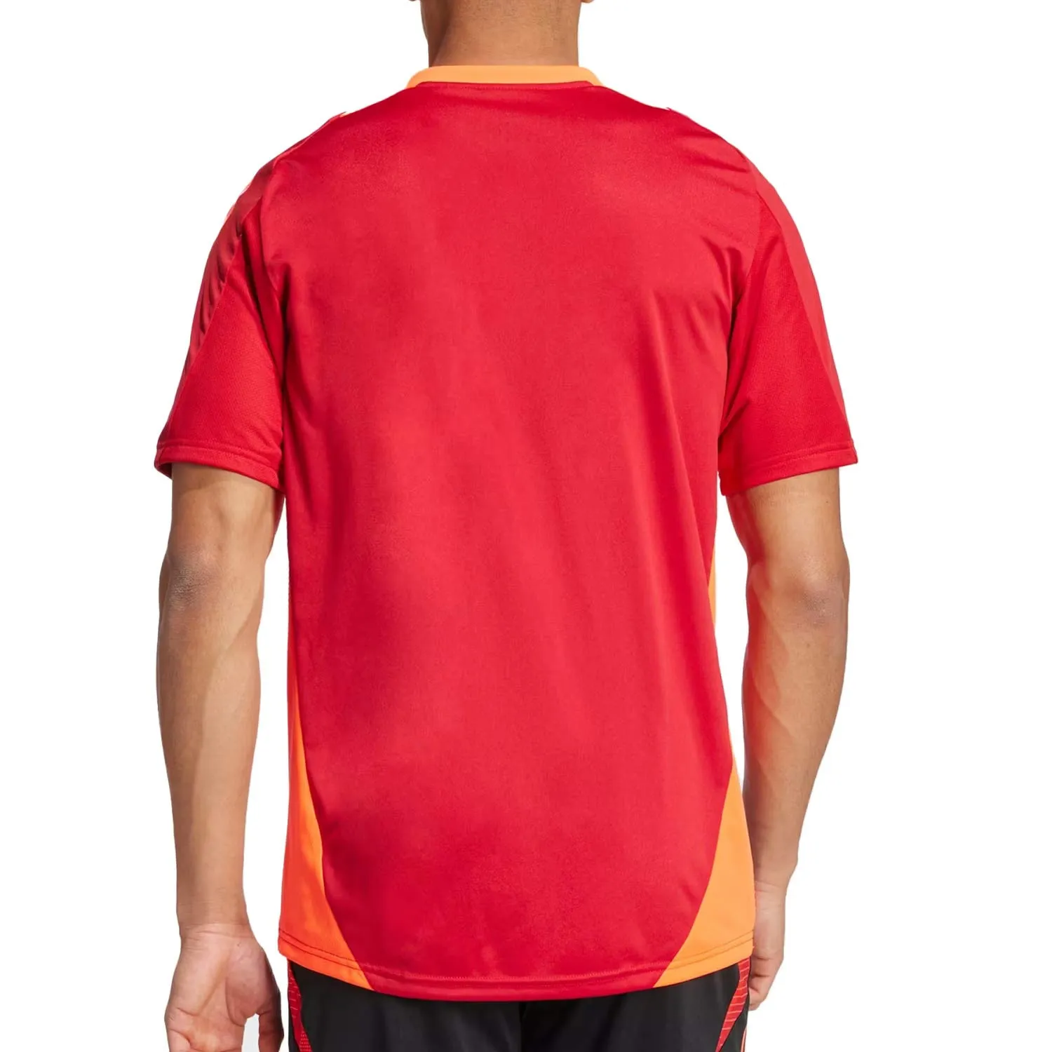 Camiseta adidas Tiro 24 Competition Training