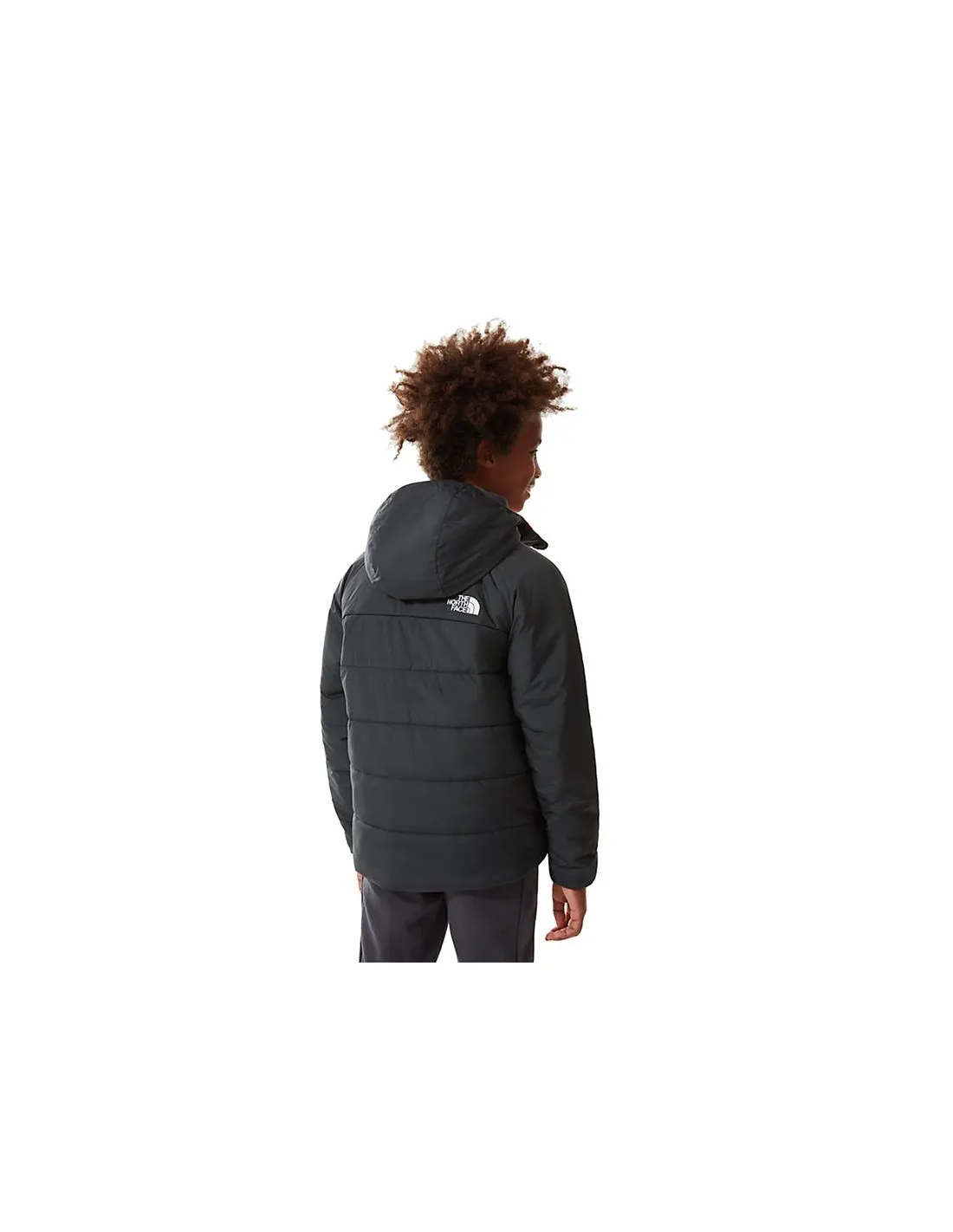Chaqueta The North Face Print RV Perrito Gris Niño