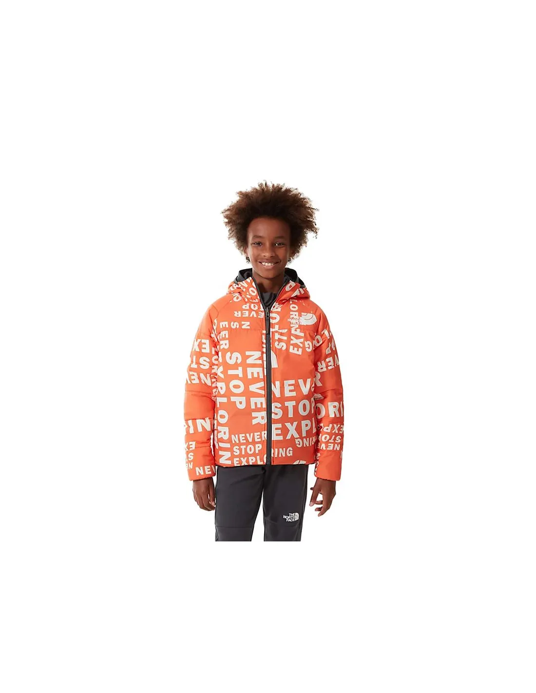 Chaqueta The North Face Print RV Perrito Gris Niño