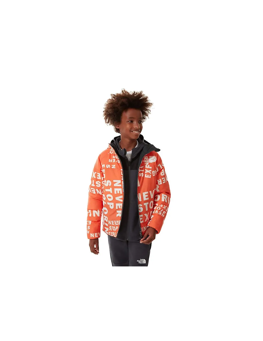 Chaqueta The North Face Print RV Perrito Gris Niño