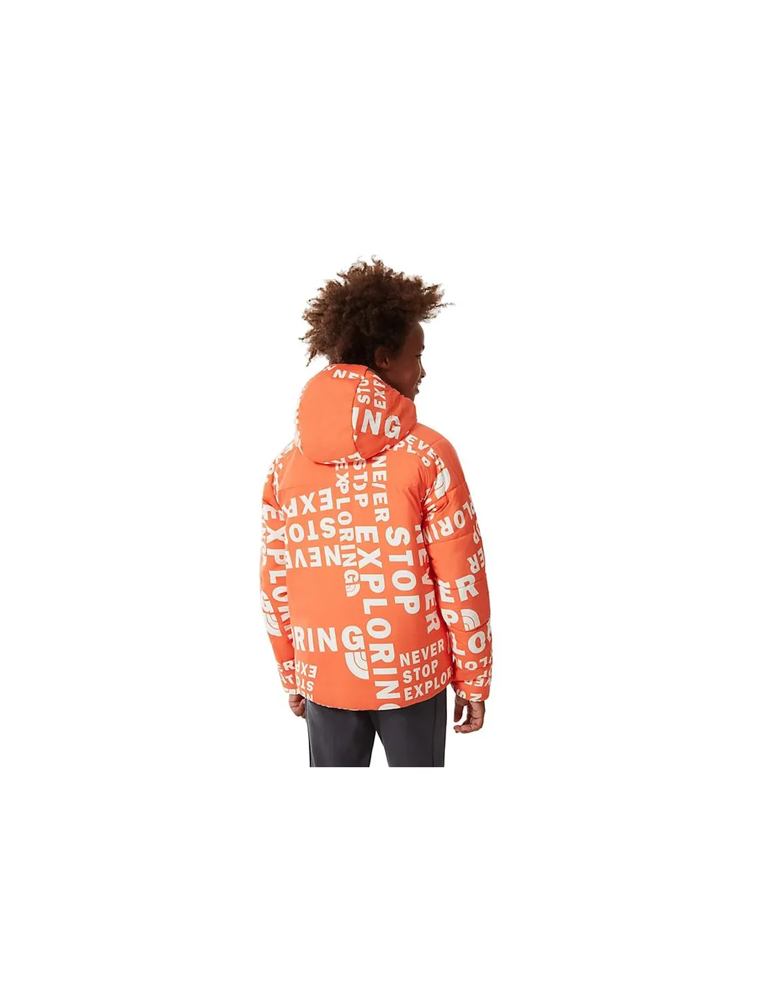 Chaqueta The North Face Print RV Perrito Gris Niño