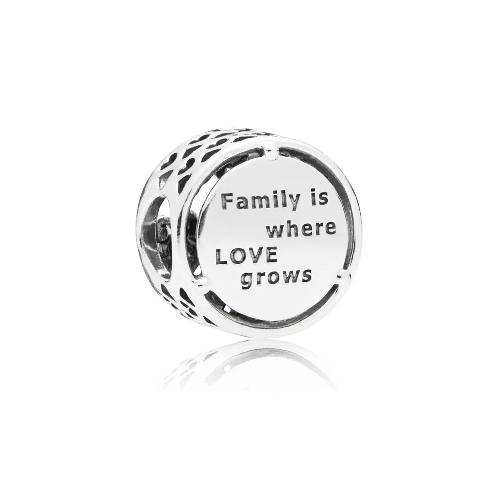 Charm en plata de ley raices familiares 797590