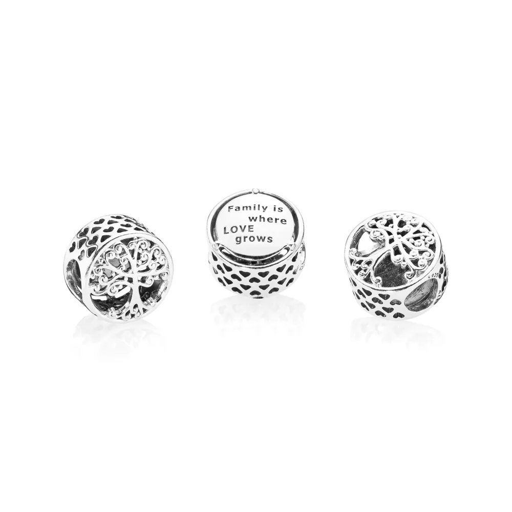 Charm en plata de ley raices familiares 797590