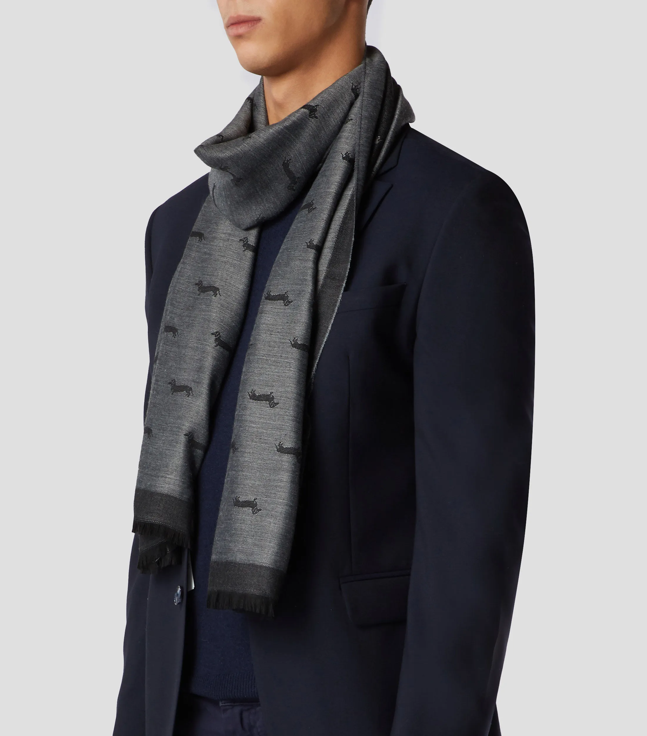 Harmont & Blaine Bufanda Estampada Hombre