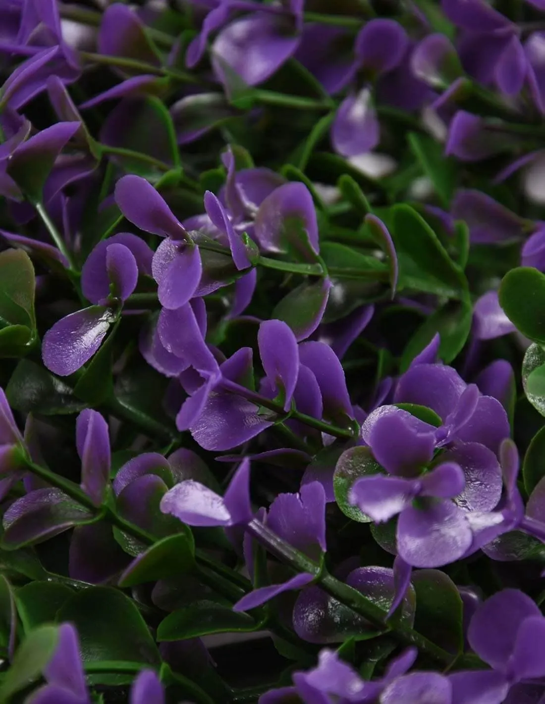 Jardín vertical para Decoración Lavanda 100x100cm Faura