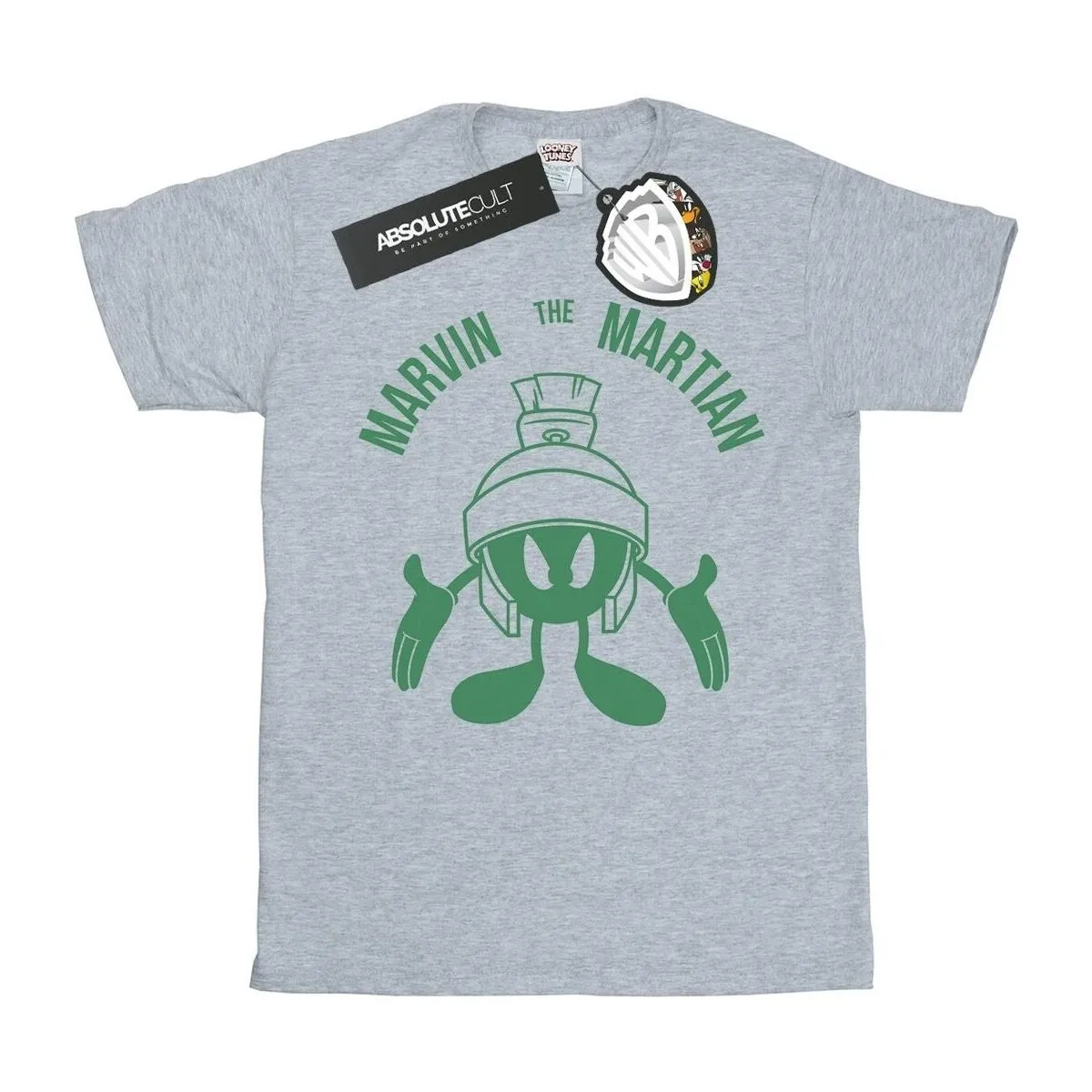 Marvin The Martian Large Head