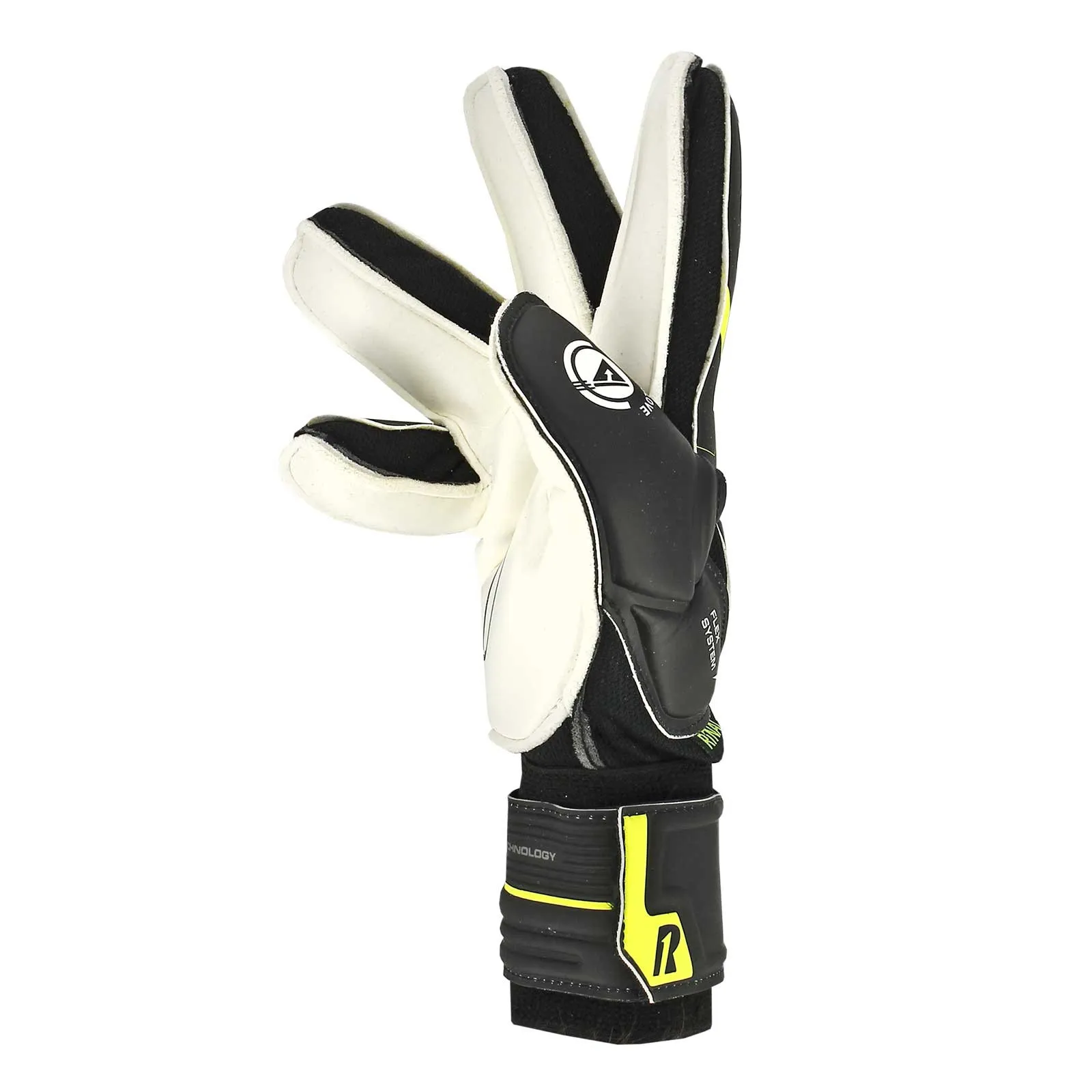 Rinat Magnetik Training